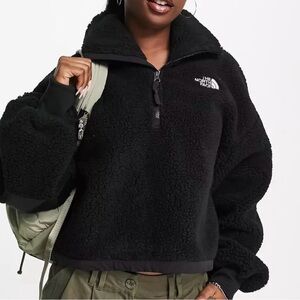 The North Face Platte Sherpa 1/4 Zip Fleece in Black